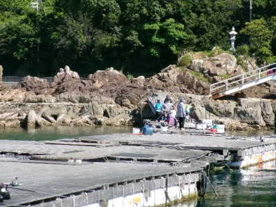 由良海つり公園&釣堀ランドの2024年5月18日(土)2枚目の写真