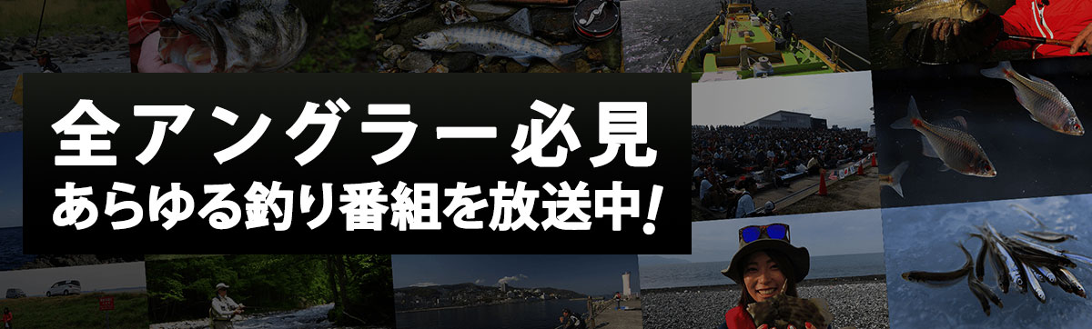 あらゆるジャンルの釣り動画をご視聴頂けます！