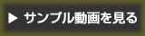 サンプル動画を見る