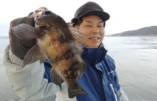 大チャンス到来！兵庫県・須磨沖のメバル＆ガシラ（カサゴ）釣り