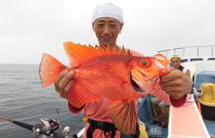 千葉県・乙浜沖の“キントキ＆根魚五目”、希少な高級魚をゲット！
