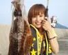 とことんエギパラダイス パラダイス8　長崎県平戸・壱岐の旅　まだまだ親イカ釣れるってホント？