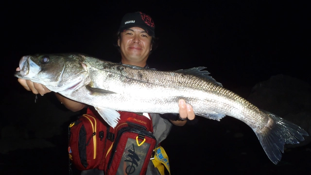 Seabass Journey