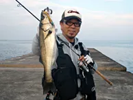 RUN＆GUN SALT OSAKA BAY SEABASS FISHING