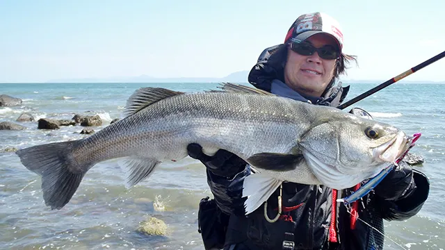 Seabass Journey 12 長崎県・島原半島