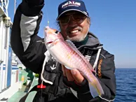 沖釣りGallery