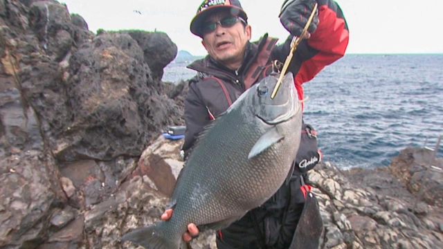磯釣りギャラリー 磯釣り師の憧憬　鵜来島　巨大オナガ獲得の軌跡