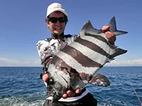 楽釣楽磯宣言 6 石鯛の魅力満載 楽釣楽底体験！