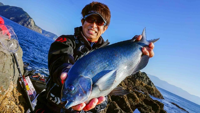 磯釣りギャラリー ～ナチュラルローテーション釣法～由良半島の本流に寒グレを求める