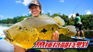 魚種格闘技戦！ BATTLE-3 戦場は瀬戸内海だ！ブリブリブリッ子！