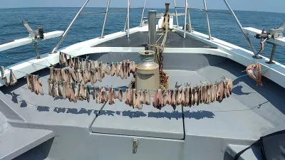 遊漁船ビックボーイの2021年6月9日(水)5枚目の写真