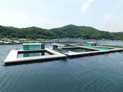 つり堀 傳八屋の船と店の写真