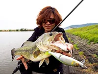 釣りビジョンおススメページ