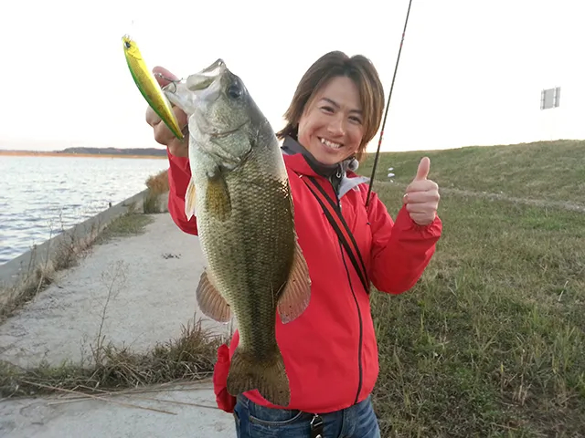 釣りビジョンおススメページ
