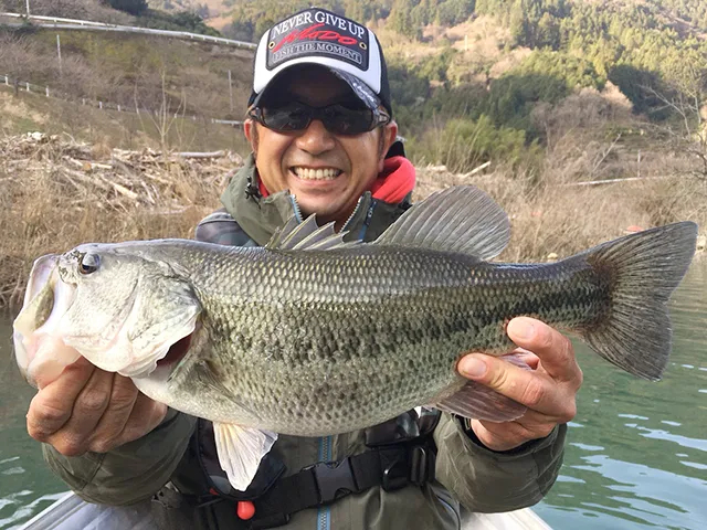 釣りビジョンおススメページ