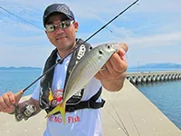 釣りビジョンおススメページ
