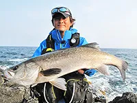 釣りビジョンおススメページ