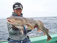 釣りビジョンおススメページ