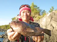 釣りビジョンオススメページ