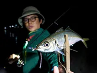釣りビジョンおススメページ