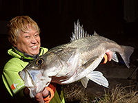 釣りビジョンおススメページ