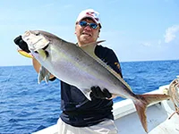釣りビジョンおススメページ