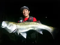 釣りビジョンおススメページ