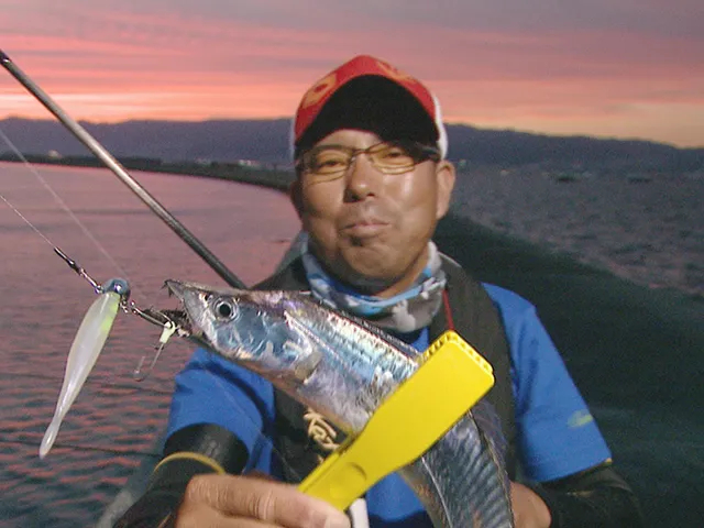 釣りビジョンおススメページ