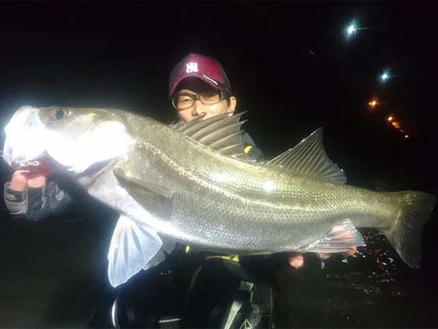 釣りビジョンオススメページ