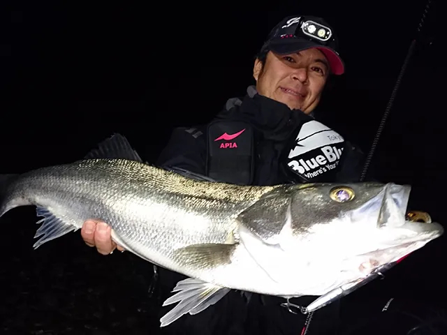 釣りビジョンおススメページ