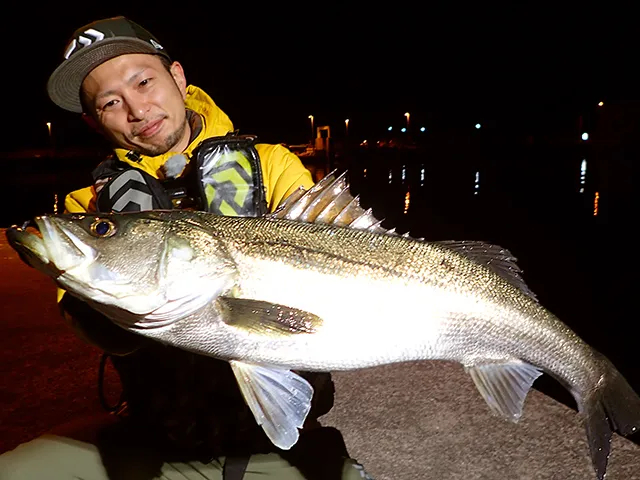 釣りビジョンおススメページ