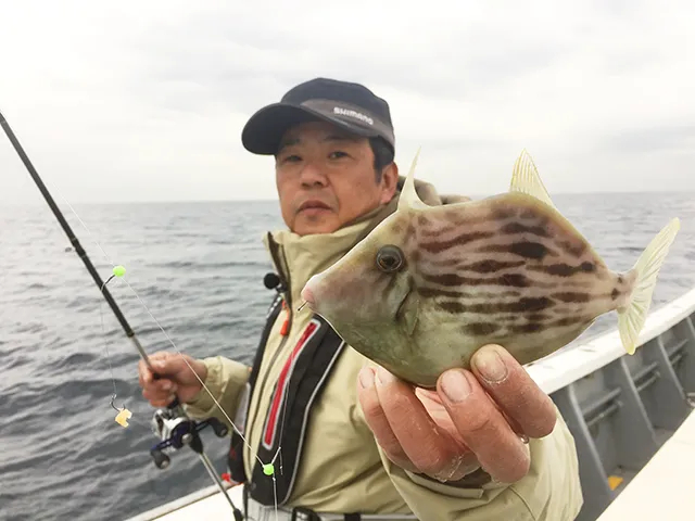 釣りビジョンオススメページ
