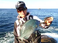 釣りビジョンオススメページ