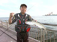 釣りビジョンおススメページ