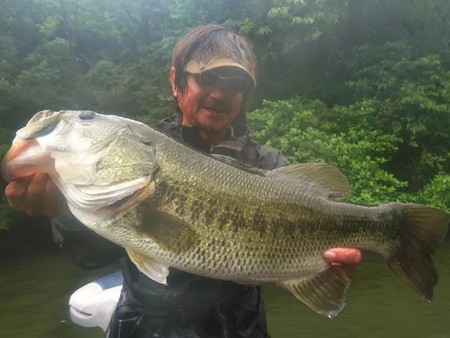 釣りビジョンおススメページ