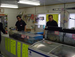 釣りビジョン 釣りビジョン