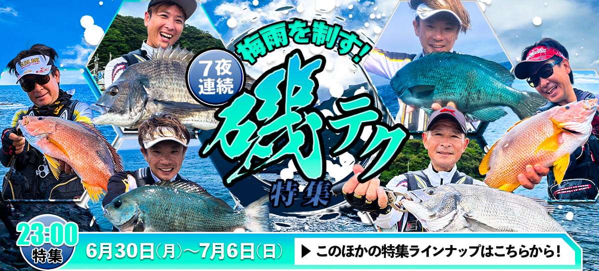 250630_特集 画像