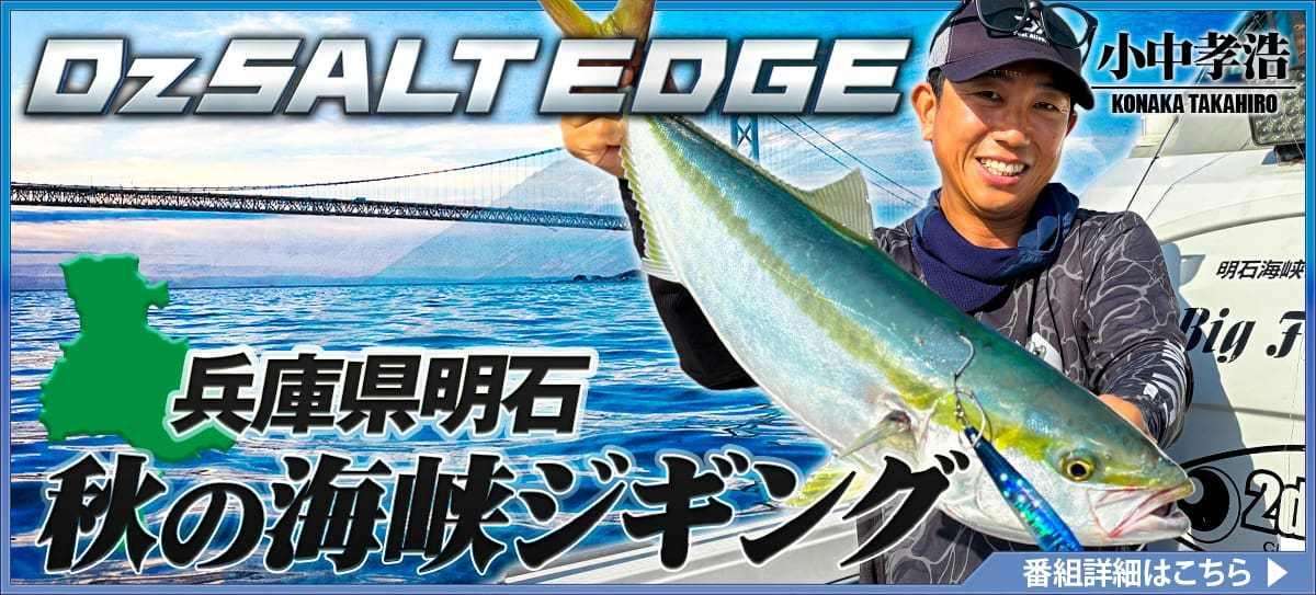 251106_DzSALT-EDGE_A 画像