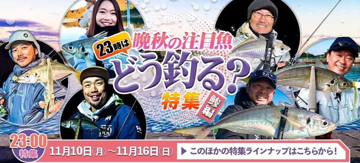 251110_特集 画像