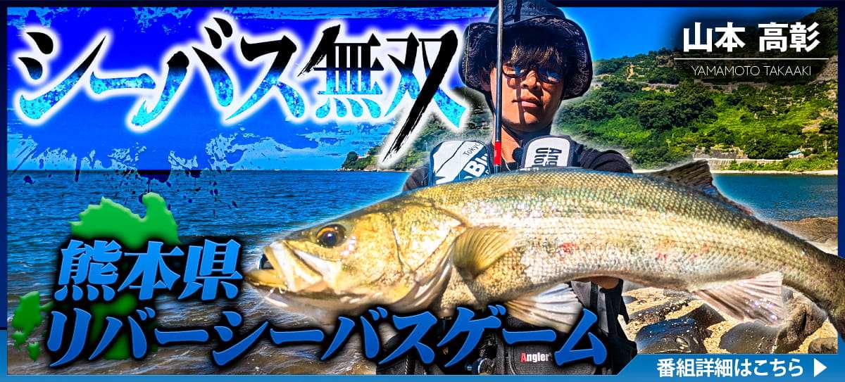 251120_シーバス無双 画像