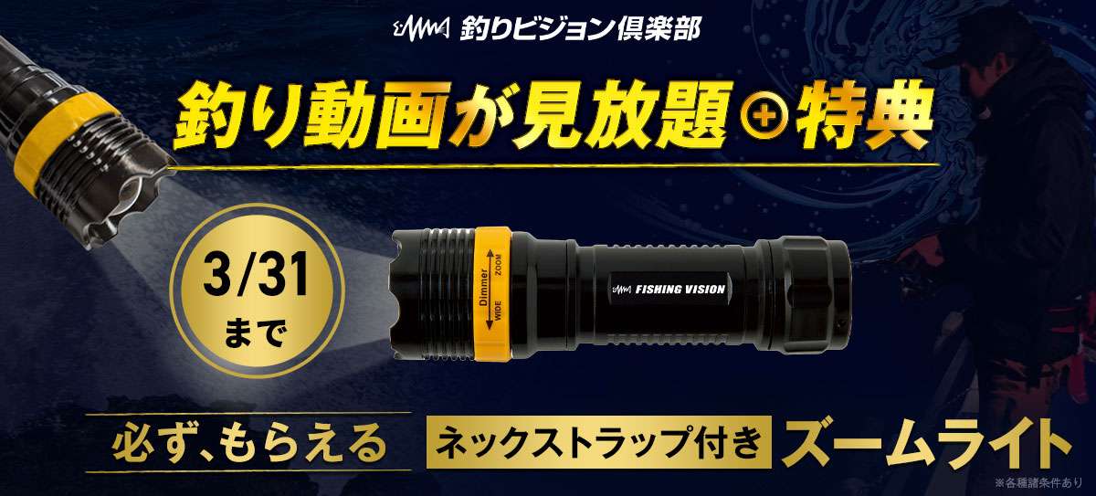 20260303_club-cp202602 画像