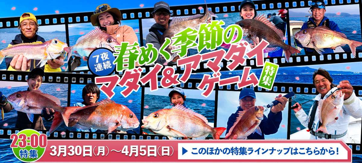 260330_特集 画像