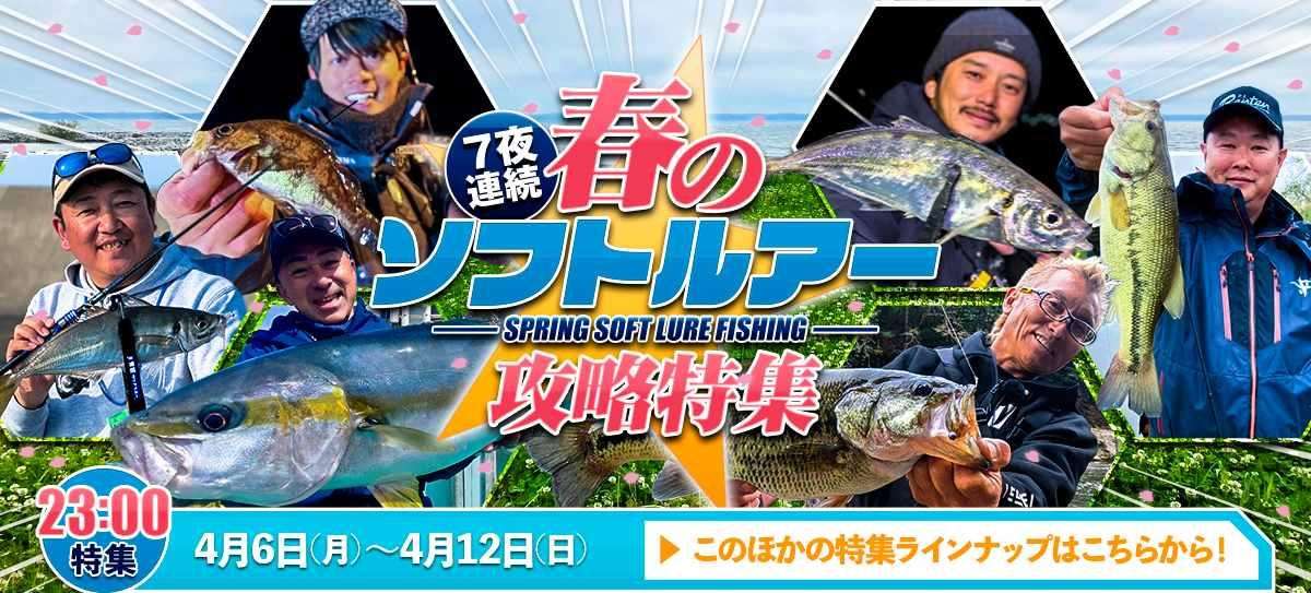 260406_特集 画像