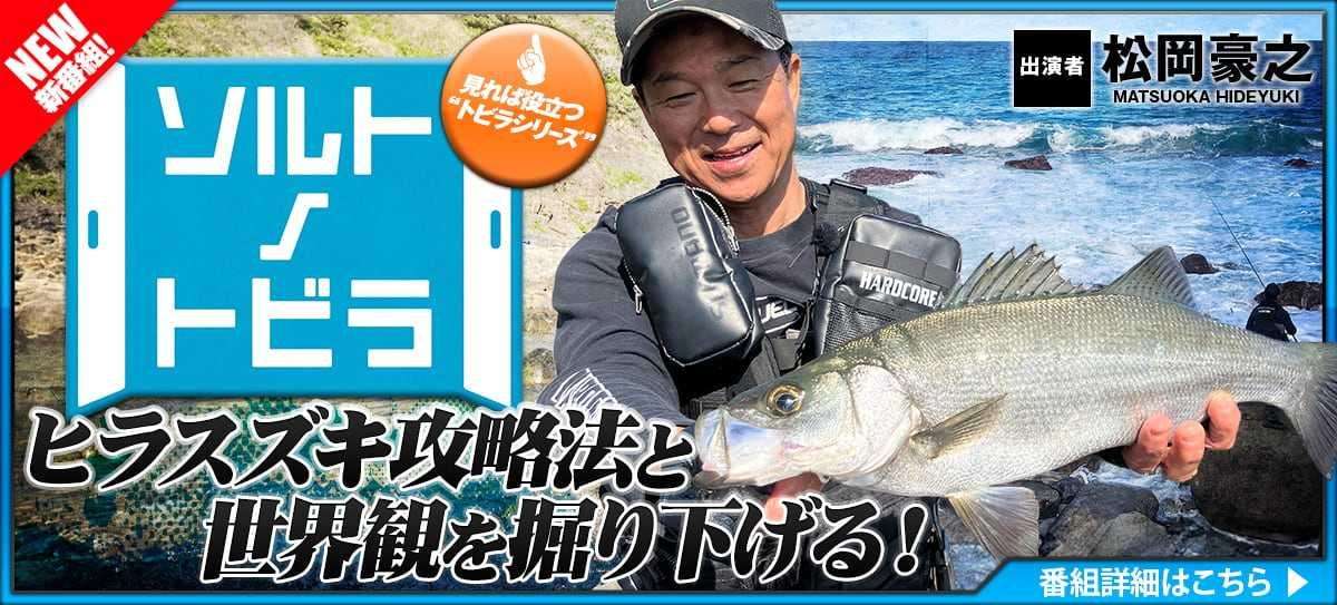 250419_ソルトノトビラ_A 画像