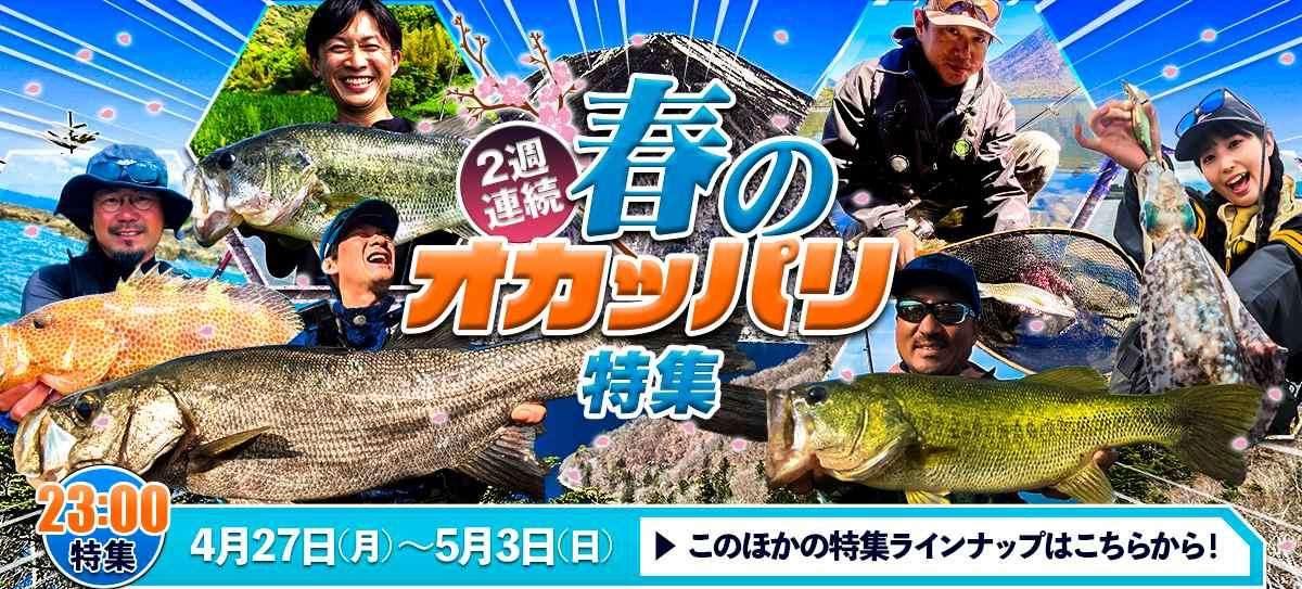 260427_特集 画像