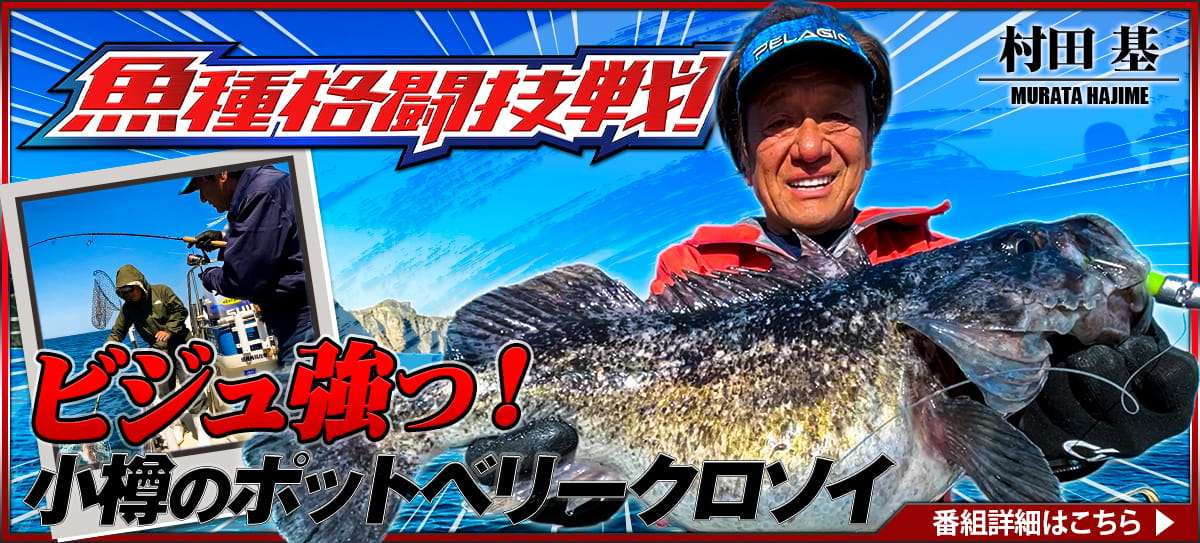 260606_魚種格闘技戦! 画像