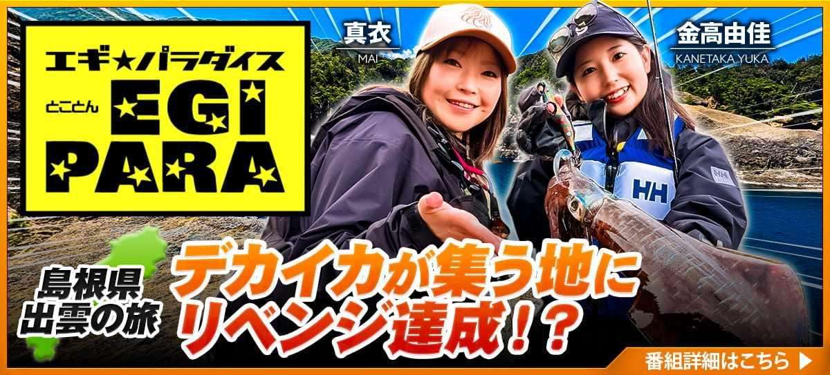 260612_とことんエギ… 画像
