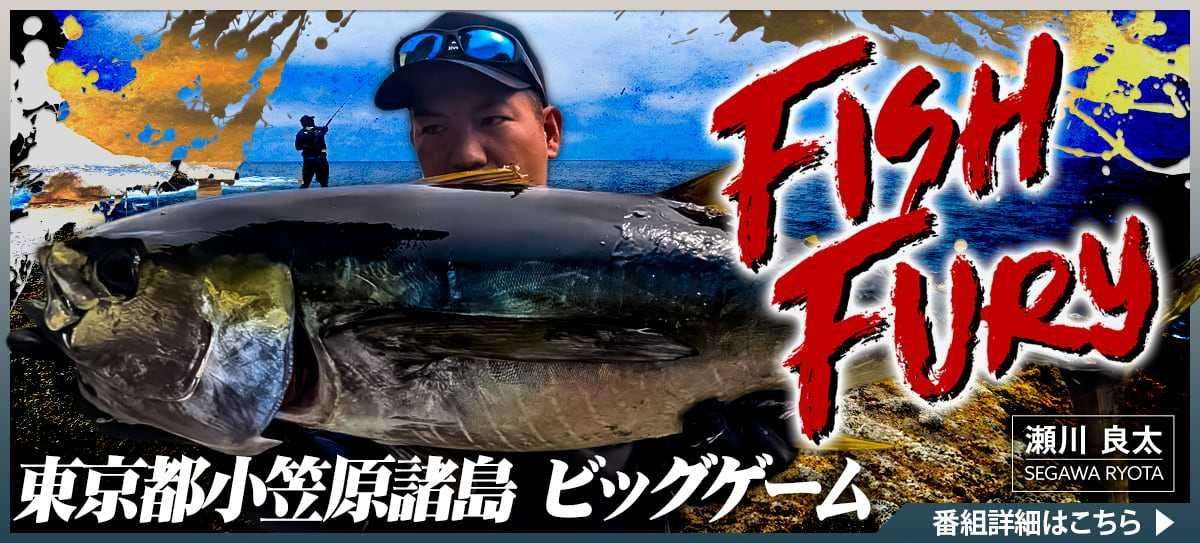 260916_FISHFURY_A 画像