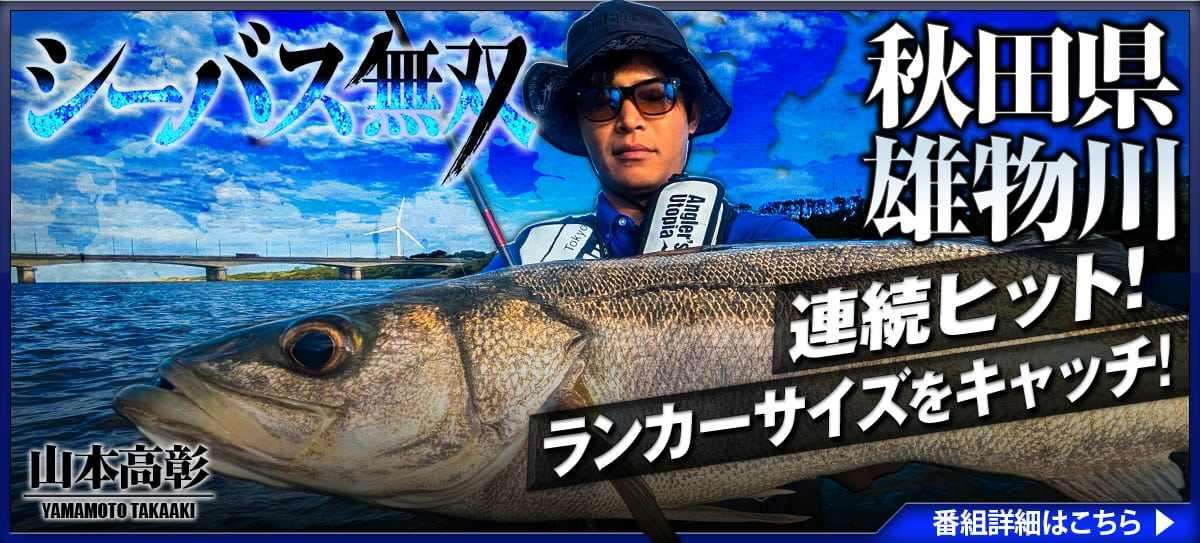 260923_シーバス無双_A 画像