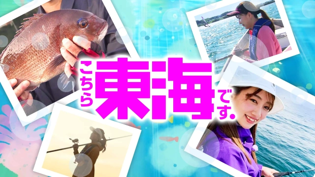 こちら東海です。